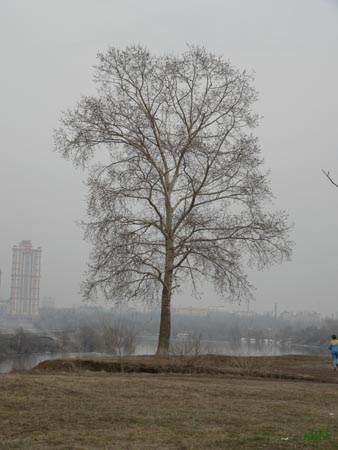 P1020458